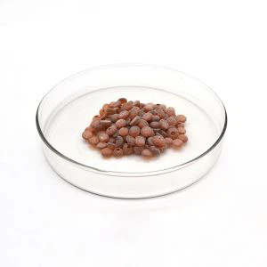 Gomma antioxidant tmq 26780-96-1