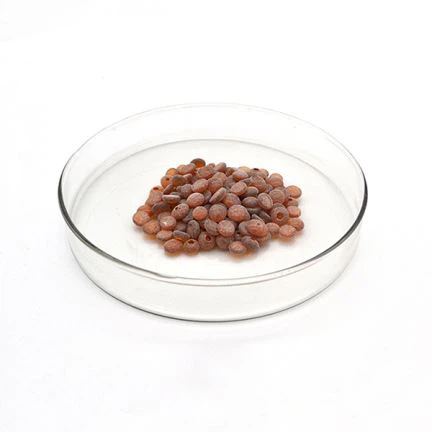 Rd antioxidant gomma